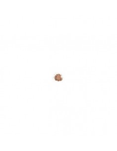 COLORESCIENCE MORNING GLOW ILLUMINATOR| DermaBeauty Clinique 2